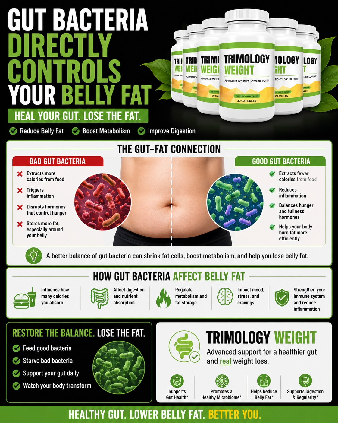 Visualization of gut microbiome interacting with abdominal fat cells
